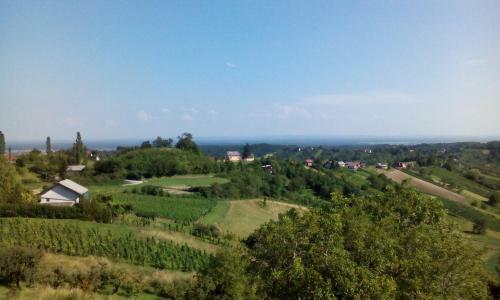 Bed & Breakfast Guesthouse Re?ekov Podrum