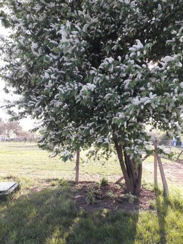 Apartamento Galagonya Vend�gh�z