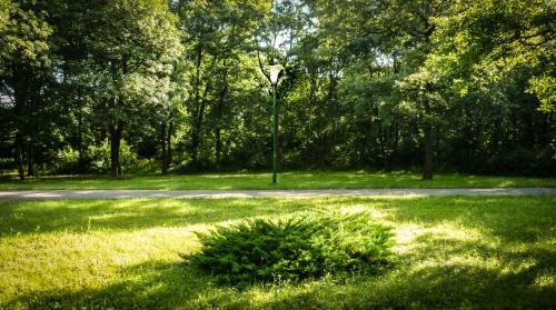 Hostal Zseri Vad�szh�z