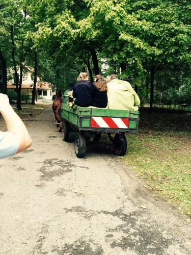Hostal Zseri Vad�szh�z