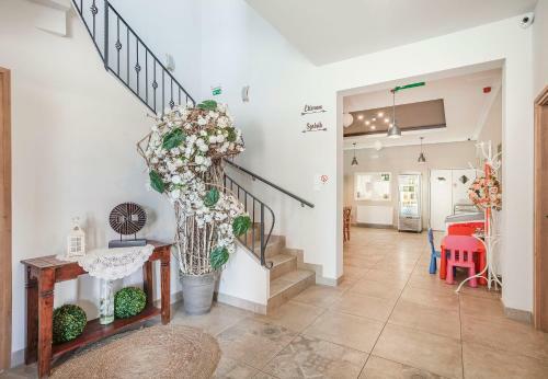 Bed & Breakfast T�lgyfa Fogad�