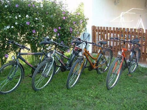 Hostal Veronika Guesthouse
