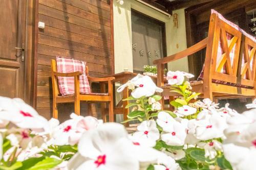 Csillagvir�g Apartman Gyula