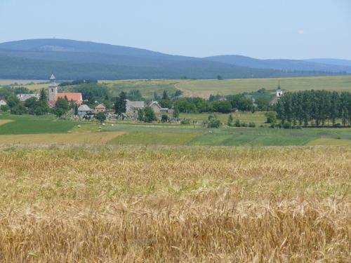 Hostal Tiszafa Vend�gh�z