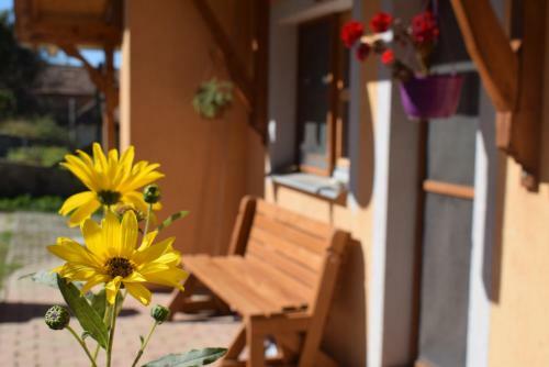 Hostal Tiszafa Vend�gh�z