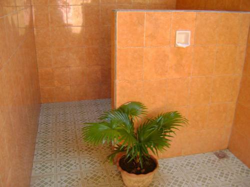 Sinar Bali 1 Bungalows