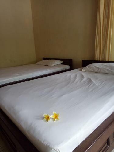 Hostal Mimba Private House
