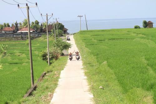 Hostal Medewi Secret Surfcamp