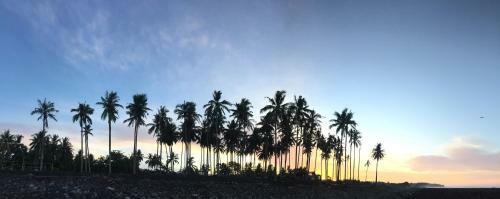 Hostal Medewi Secret Surfcamp