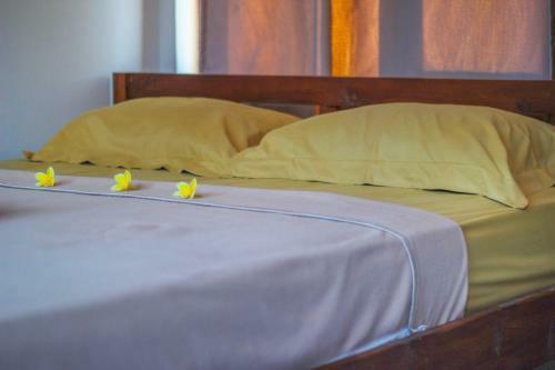 Hostal The Anara Surfing Camp