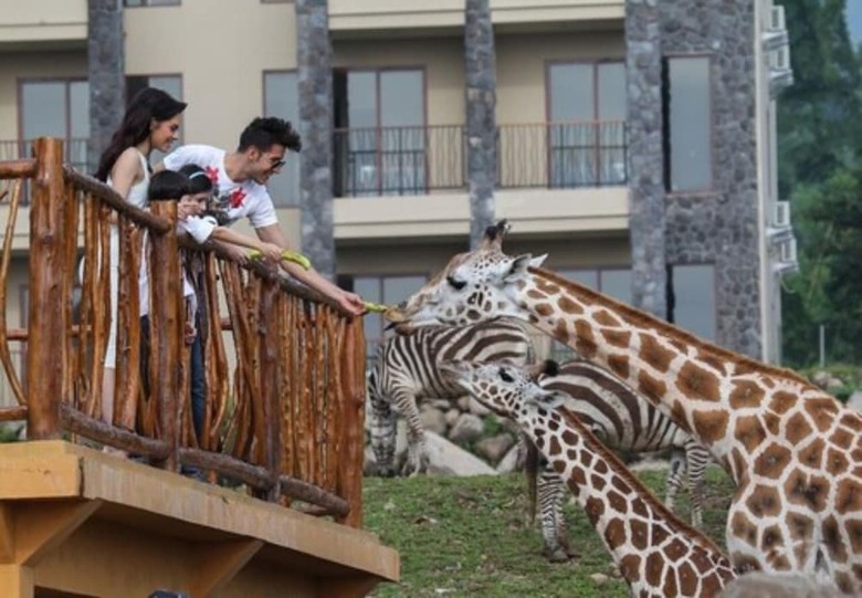 Hotel Baobab Safari Resort