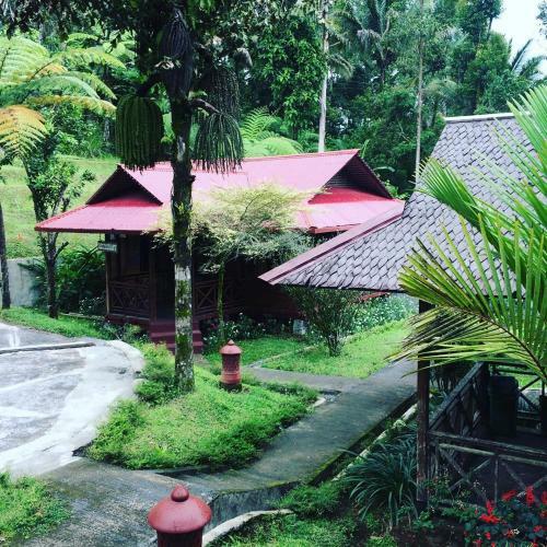 Highland Resort & Nature Tours