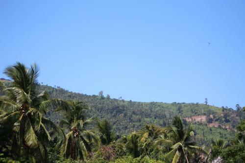 Angela Homestay Manado