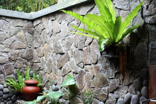 Tegal Jero Homestay