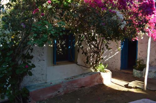 Bed & Breakfast G�te Tazota