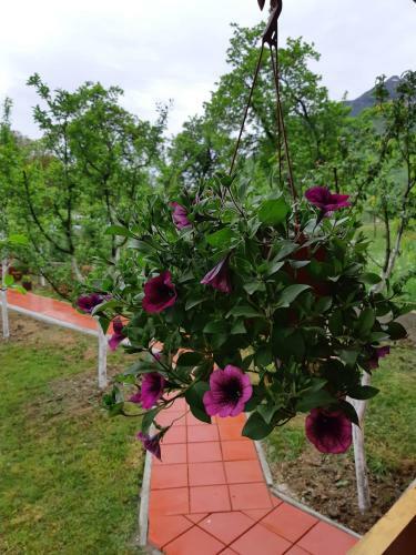 Apartamento Garden House
