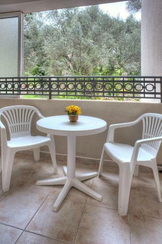 Hostal Guest House Maslina