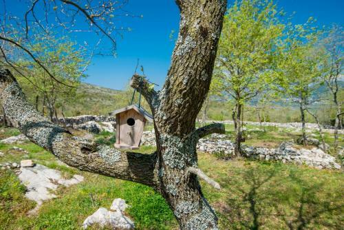 Lodge Eco Home & Glamping Tent