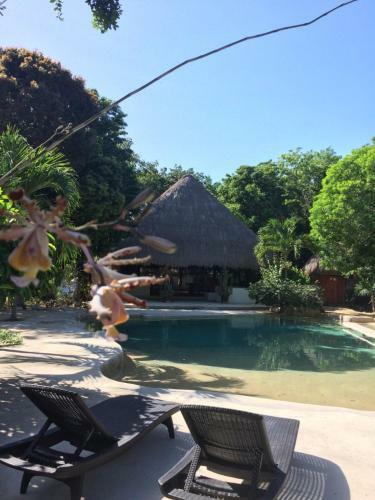 Hotel La Villa Mexicana By Diving Prestige