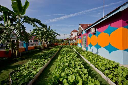 Mbi Desaku Homestay