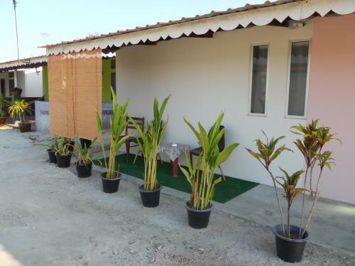 Albergue Rainbow Lodge Female Dorm