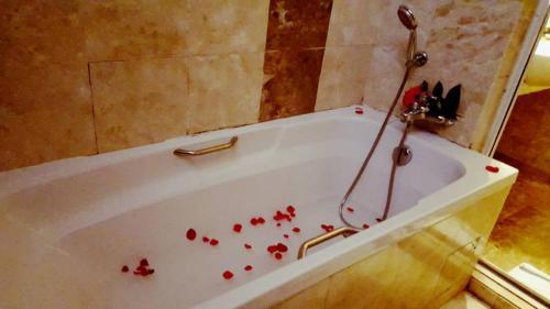 Hotel Langkawi Lagoon Honeymoon Suite