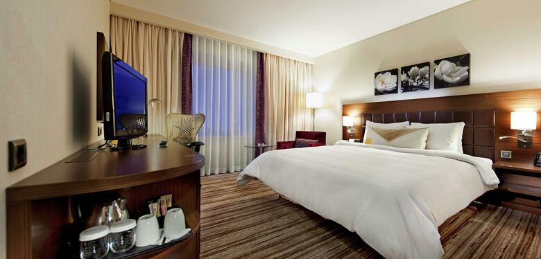 Hotel Hilton Garden Inn Mardin
