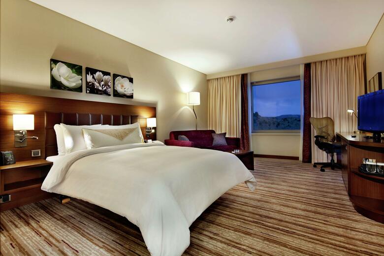 Hotel Hilton Garden Inn Mardin