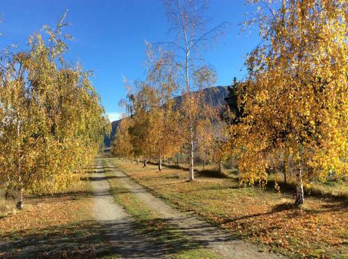 Pip's Orchard Bed & Breakfast