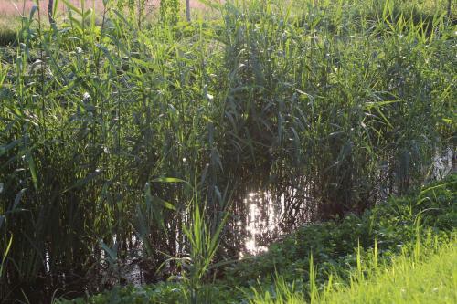 Hostal Bukowa Przysta? Barlinek