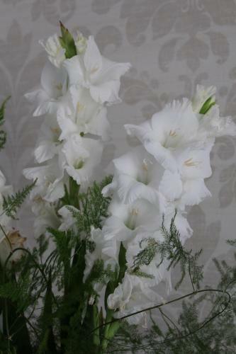 Hostal Bukowa Przysta? Barlinek