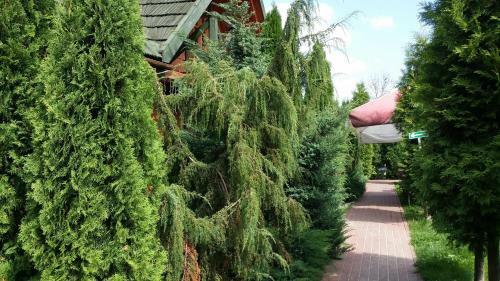 Agroturismo Wyspa Kampinos