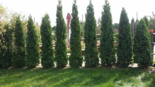 Agroturismo Wyspa Kampinos
