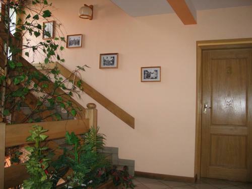 Hostal Pensjonat Lotos