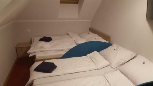 Bed & Breakfast Go?ciniec 16-tka