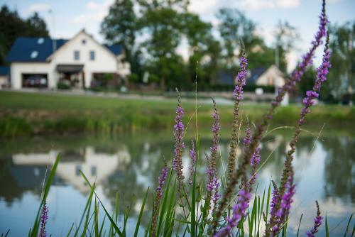 Apartamenty U Harrego II