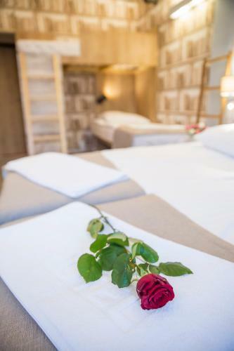 Apartamento Willa Sudety