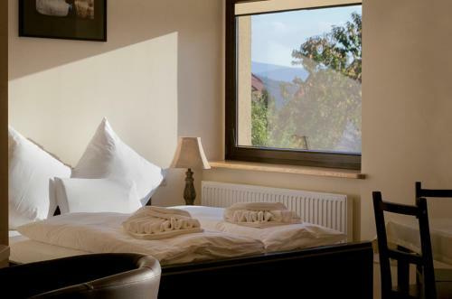 Hostal Bursztynowe Buki
