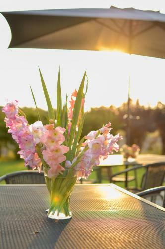Hotel Eco Niebor�w