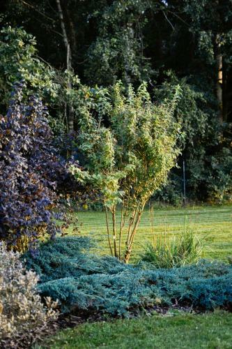 Hotel Eco Niebor�w