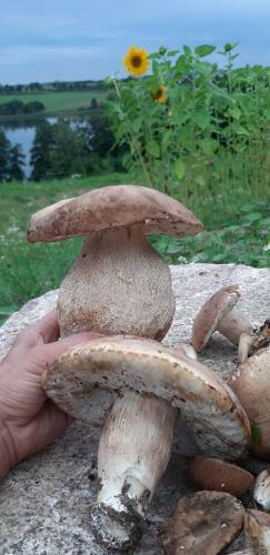 Agroturismo Mi?a Dolina