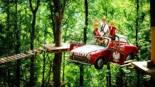 Radihaus & Treehaus ?ar