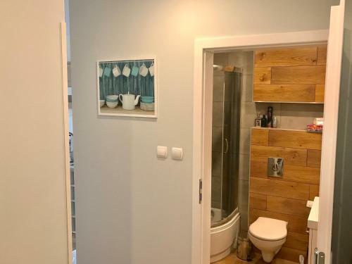 Apartament Awiator Mielec