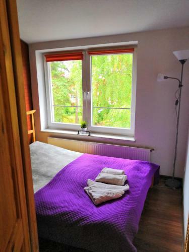 Apartamenty Pod Sosnami