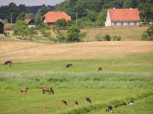 Agroturismo Nad Dolin? Krutyni