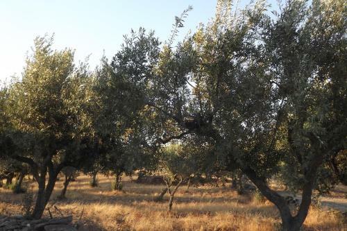 Agroturismo Casa Dos Xar�s