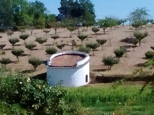 Agroturismo Casa Dos Pombais