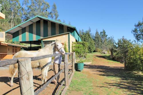 Agroturismo Haybarn Cottage By Ourmadeira