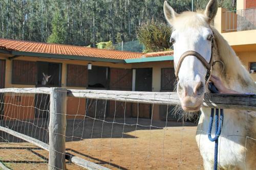 Agroturismo Haybarn Cottage By Ourmadeira