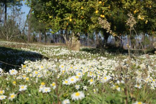 Agroturismo Casa de Santo Ant�o